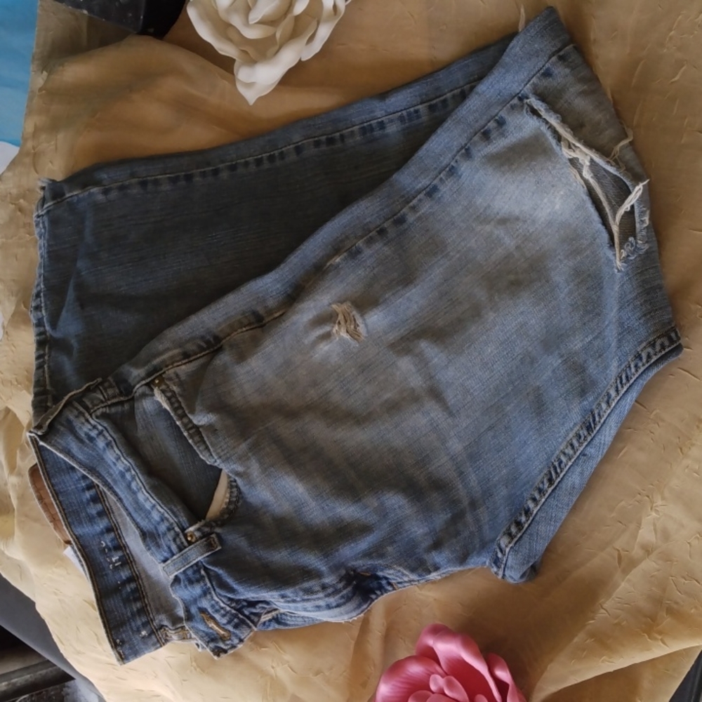 Denizen Levi's - image 1